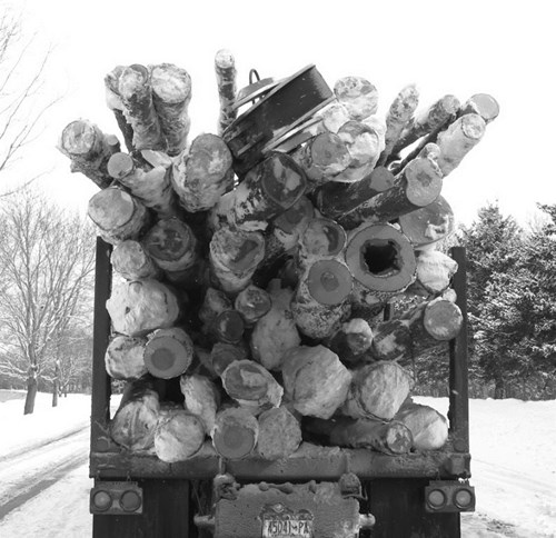 Picture of the back of truck hauling a cargo of logs.