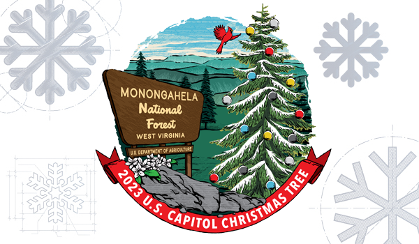 FMCSA’s fifth year supporting the U.S. Capitol Christmas Tree’s journey to Washington, D.C. begins November 4, 2023. Help spread holiday cheer while raising awareness about sharing the road safely with large trucks and buses.