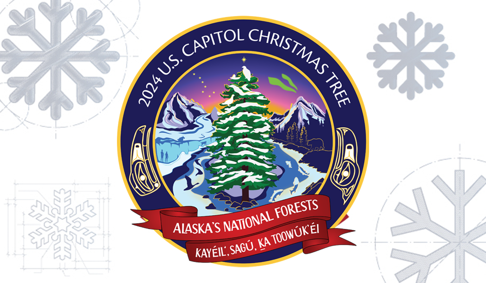 FMCSA is supporting this year’s U.S. Capitol Christmas Tree journey from Alaska to Washington, D.C. Help spread holiday cheer while raising awareness about sharing the road safely with large trucks and buses.