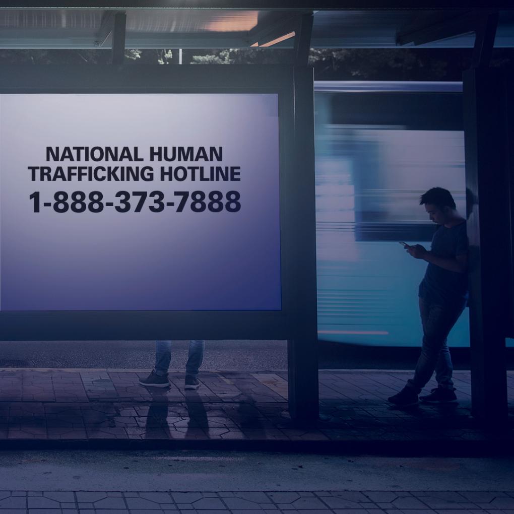 Image of a male at a bus stop on his phone next to a sign with the National Human Trafficking Hotline printed on it
