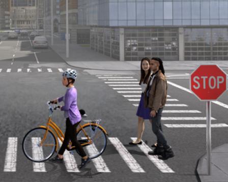 Bicyclist and pedestrians crossing the road at a crosswalk 