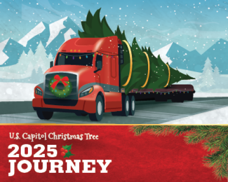 Truck carrying a Christmas tree though snowy mountains